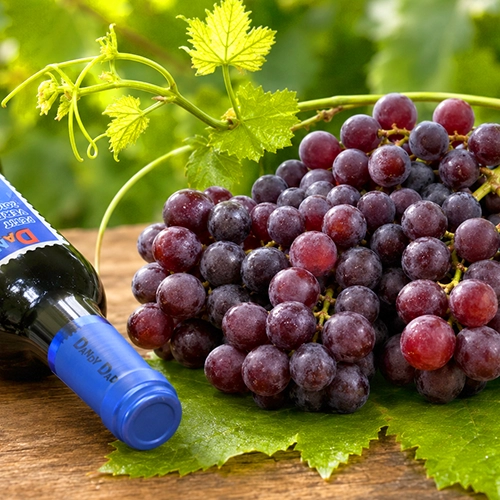 PETIT VERDOT